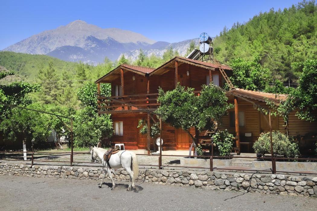 Oranj Ranch Hotel Кемер Екстериор снимка