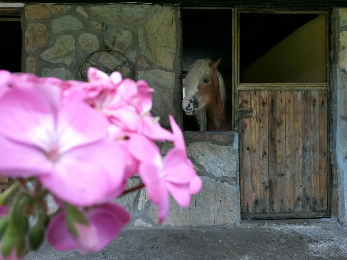 Oranj Ranch Hotel Кемер Екстериор снимка