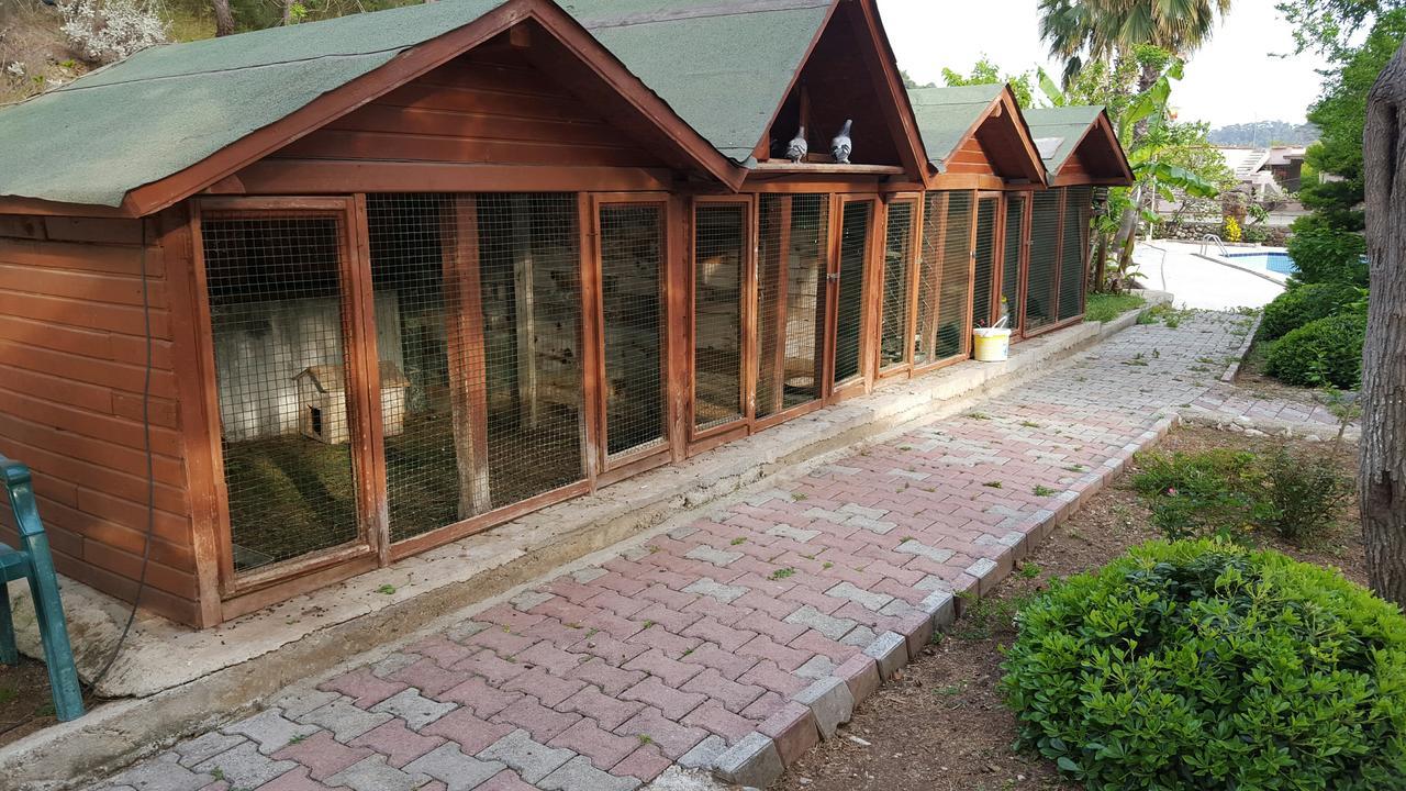 Oranj Ranch Hotel Кемер Екстериор снимка