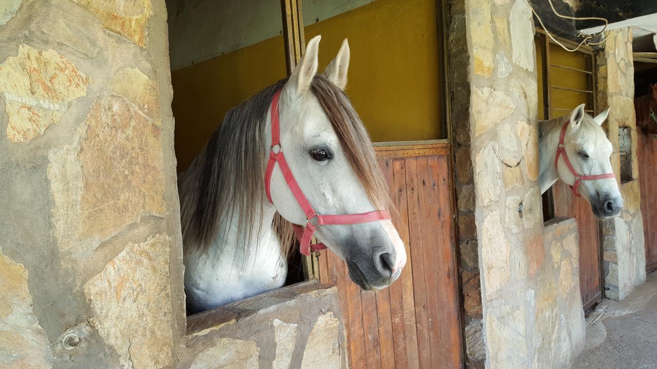 Oranj Ranch Hotel Кемер Екстериор снимка