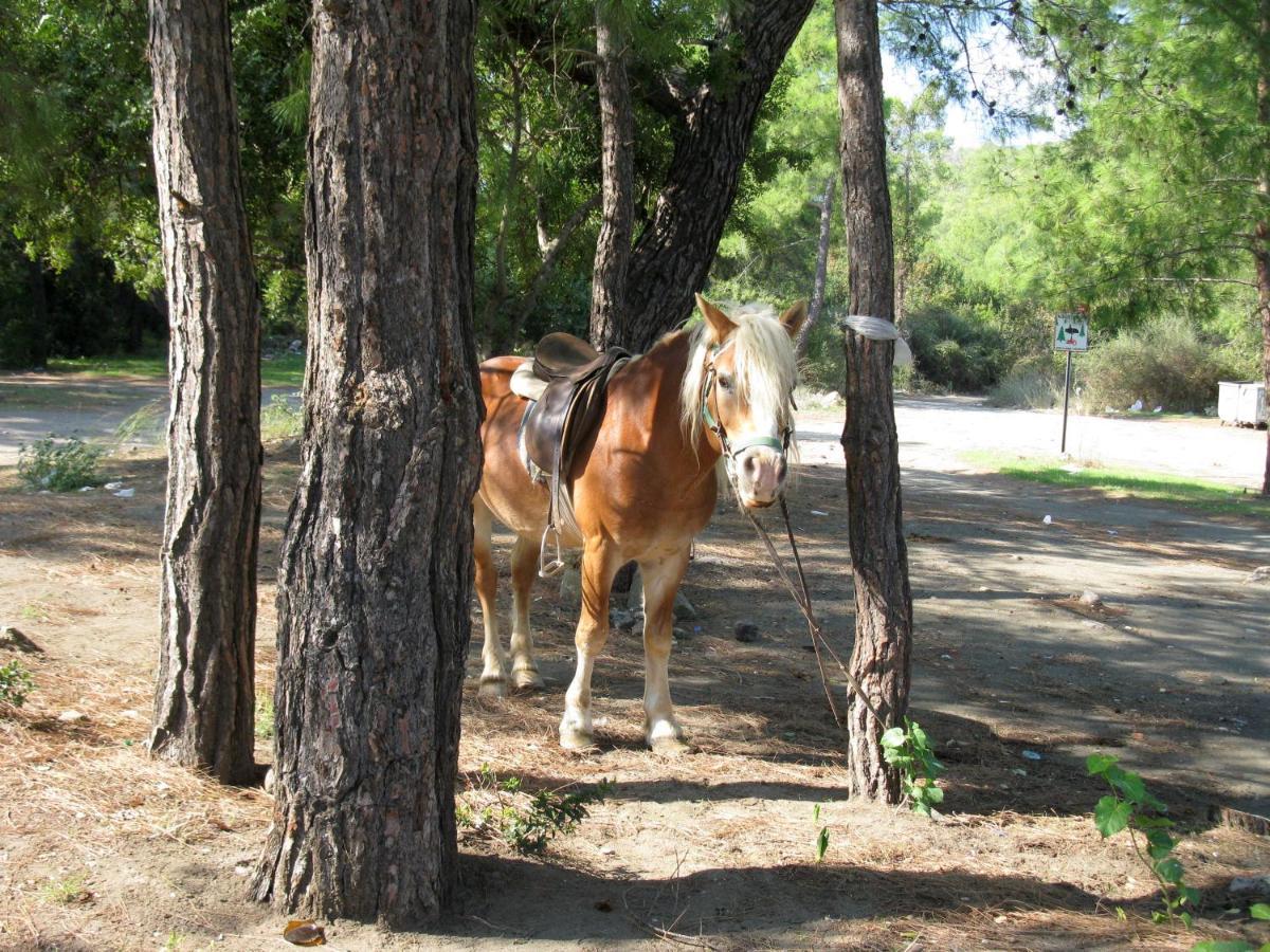 Oranj Ranch Hotel Кемер Екстериор снимка